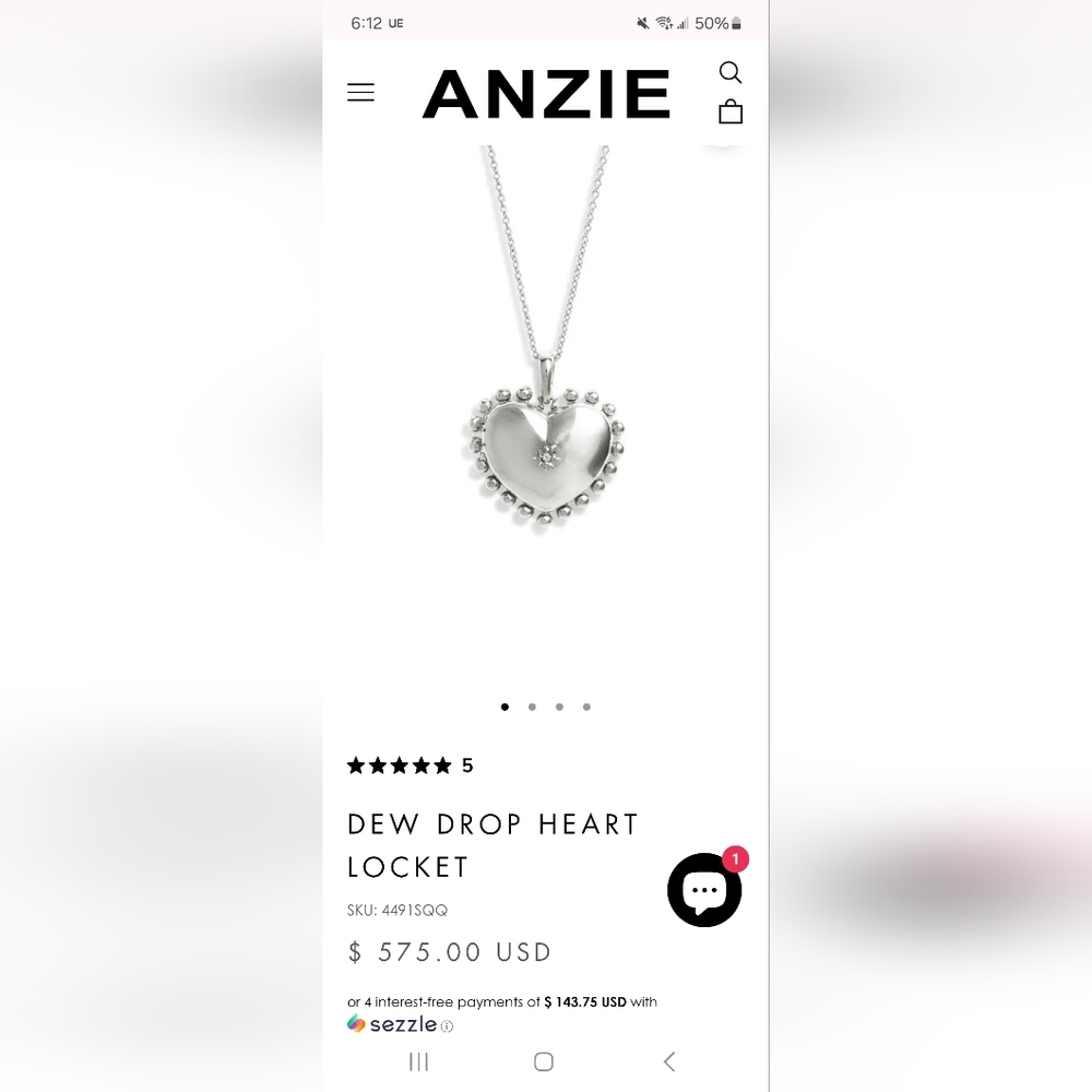 BNIB Dew drop heart locket